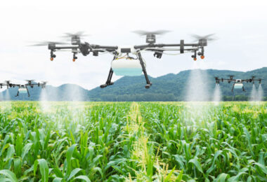 Productos agrícolas
